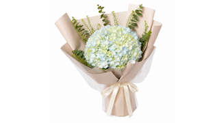 Buchetul Zilei cu Hortensia MARE MIX, Multicolor