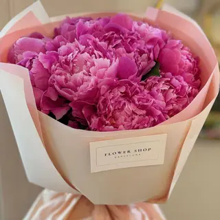 Pink Peonies 