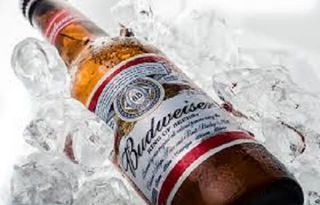 Budweiser (33 Cl.)