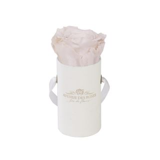 Trandafir criogenat alb