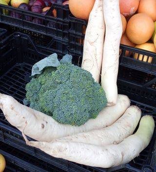 Nabo daikon ecológico (pieza)