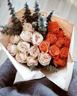 ჰოლანდიური ვარდები,ევკალიპტი კრაფტში