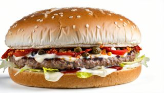 Hamburger profumo di Sicilia 170 g