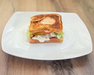 Sándwich Especial