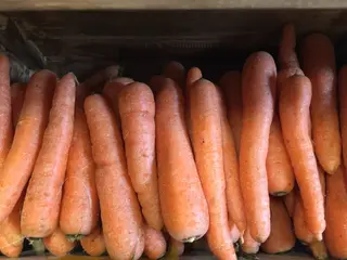 Моркови