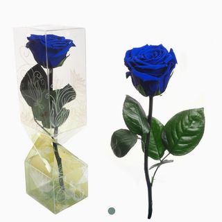 Rosa Eterna Azul Oscuro Pequeña