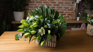 Ljiljan orijentalni dva komada i dekoracija 