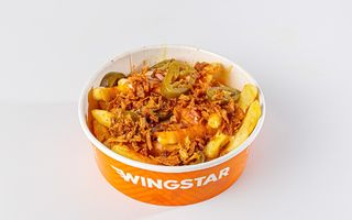 Plain Loaded Fries