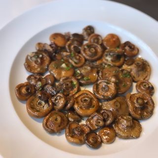 Rovellons de Berguedà 
