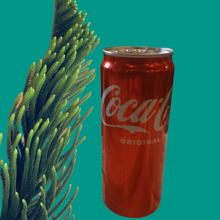 Coca Cola 330ml