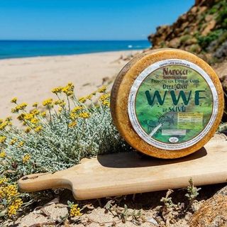 tagliere di formaggi di capra