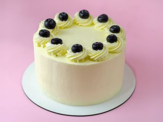 В2В Ванільно-ягідний (2400g)