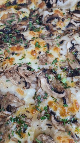 Pizza funghi e mozzarella 1/4