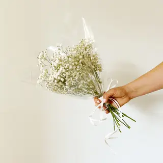 Ramo de Paniculata Blanca "Entheromania"