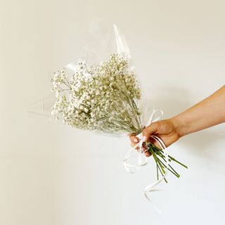 Ramo de Paniculata Blanca "Entheromania"