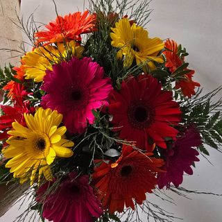 Ramo De Gerberas
