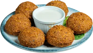 Plato Falafel