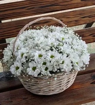 გაზაფხული