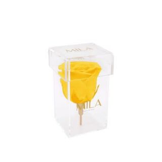 Mila Acrylic Single Stem