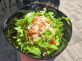 Bolognese
