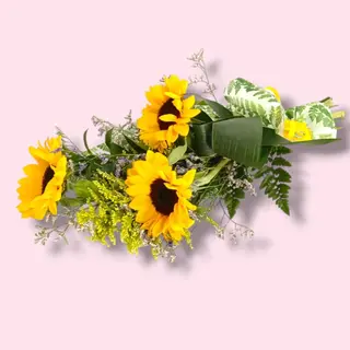 Girasoles