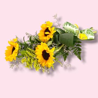 Girasoles