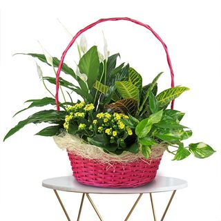 Cesta variada grande