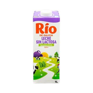 Leche Din Lactosa 1 Lt.