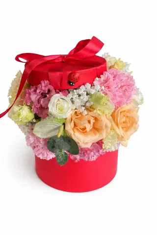 Jardim Secreto Box