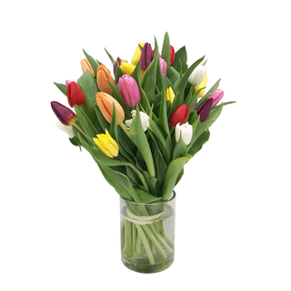 Ramo de 10 tulipanes de colores