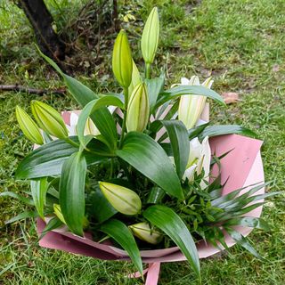 Buchet 3 crini imperiali albi