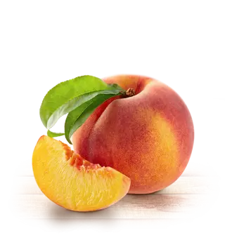 pêche