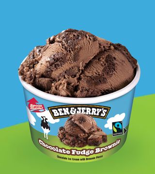Ben & Jerry's Chocolate Fudge Brownie (100 ml)