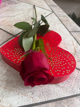 Rosa rossa con cioccolatini