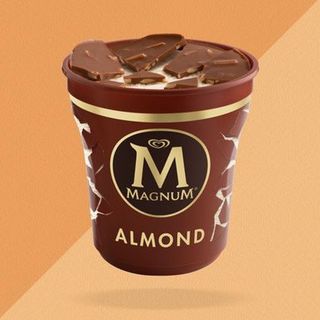 Magnum pinta almond