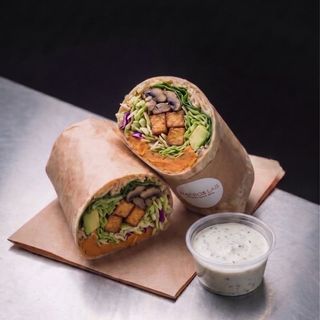 Burrito Plant Power
