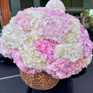 Білі та рожеві гортензії в корзині