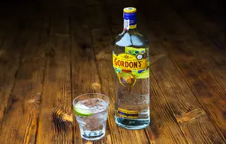 Gordon's (50мл)