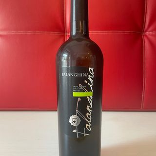 FALANGHINA