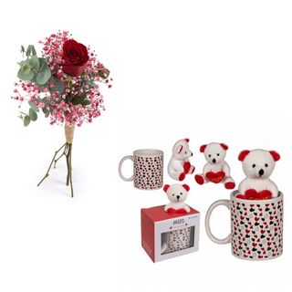 UNA ROSA ROJA Y TAZA CON PELUCHIN