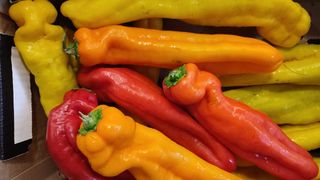 Peperoni a corno 1 kg
