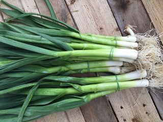 Пресен чесън