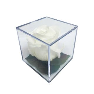 Rose Cube blanca