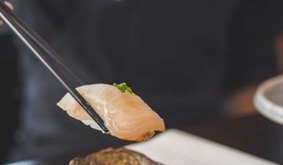 Nigiri Kingfish