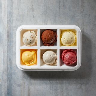 Vaschetta degustazione gelato 6 palline 