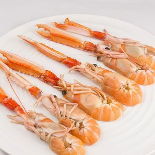 Cigalas De Tarragona