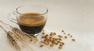 Caffè orzo