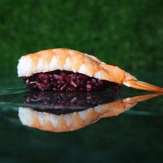 Nigiri ebi black