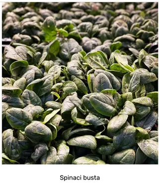 Spinaci busta mio orto 400 g