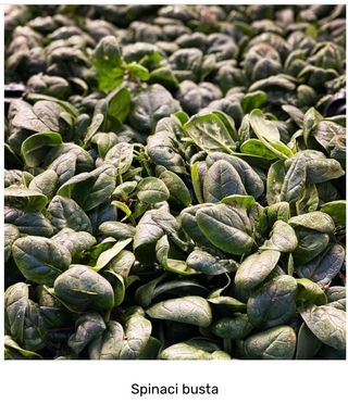 Spinaci busta mio orto 400 g